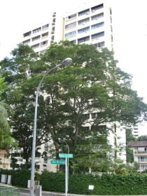 One Tree Hill Mansions (D10), Apartment #1157572